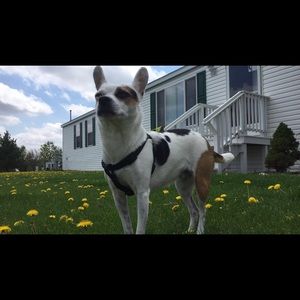 Meet your Posher, Marlene